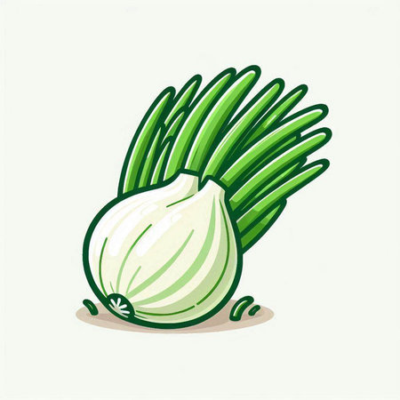 Illustration of green onion on a white background. Vector illustration.のイラスト素材