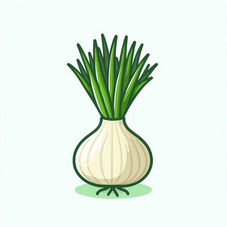 Illustration of a fresh onion isolated on a white background - vectorのイラスト素材