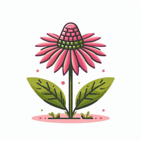 Echinacea flower. Vector illustration of a flower with leaves.のイラスト素材