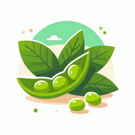 Fresh green peas on a white background. Vector illustration, flat style.のイラスト素材