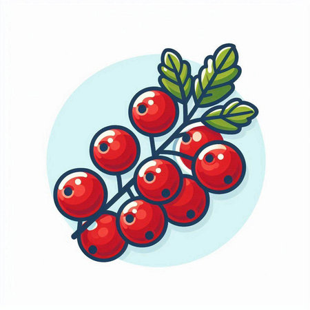 Red currant on a white background. Vector illustration in flat style.のイラスト素材