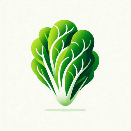 Lettuce icon. Vector illustration of fresh lettuce. Green leaf.のイラスト素材