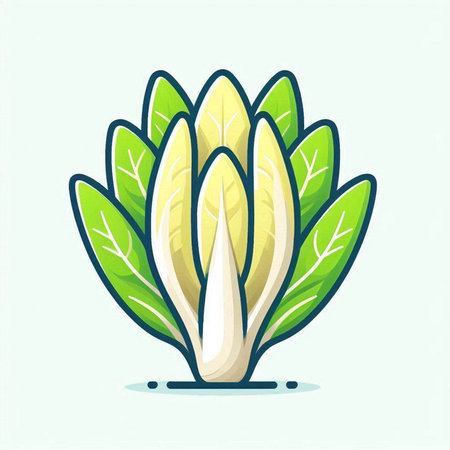 Illustration of fresh chicory. Vector illustration in flat style.のイラスト素材