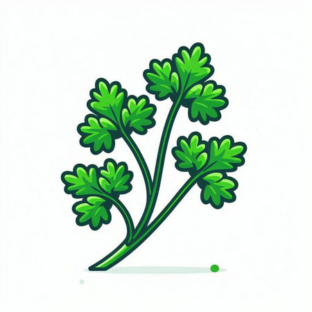 Parsley vector icon. Hand drawn illustration of parsley.のイラスト素材