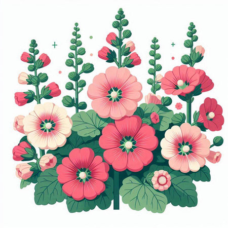 Vector illustration of a bouquet of pink and red mallow flowers.のイラスト素材