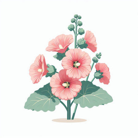Pink hollyhock flowers isolated on white background. Vector illustration.のイラスト素材