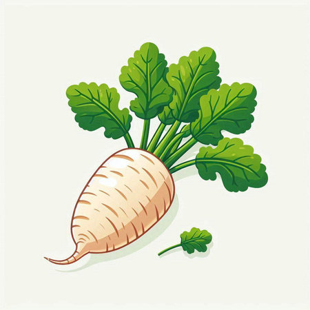 Illustration of a fresh radish with green leaves on a light backgroundのイラスト素材