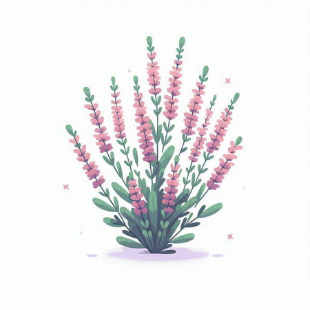 Watercolor vector illustration of purple heather flowers and green leaves.のイラスト素材