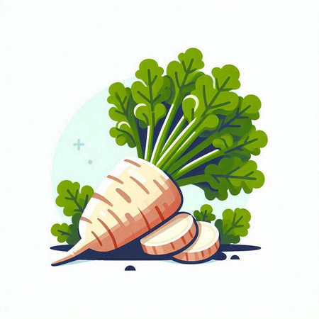 Illustration of a carrot with leaves on a white background. Vector illustration.のイラスト素材