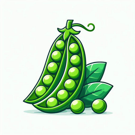 Green peas with green leaves isolated on white background. Vector illustration.のイラスト素材