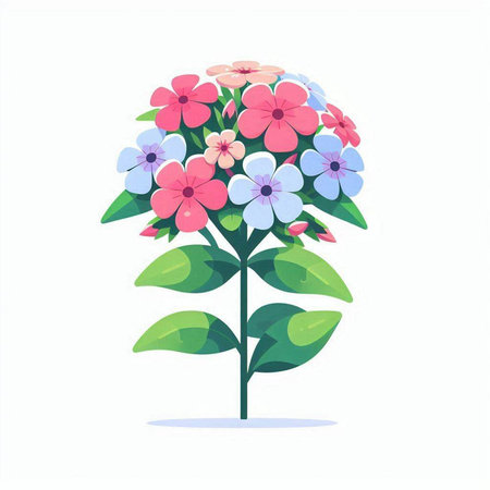 Flower of hydrangea on a white background. Vector illustration.のイラスト素材