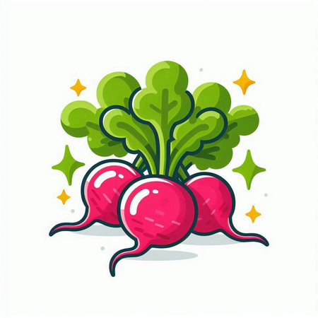Radish icon isolated on white background. Vegetable vector illustration.のイラスト素材