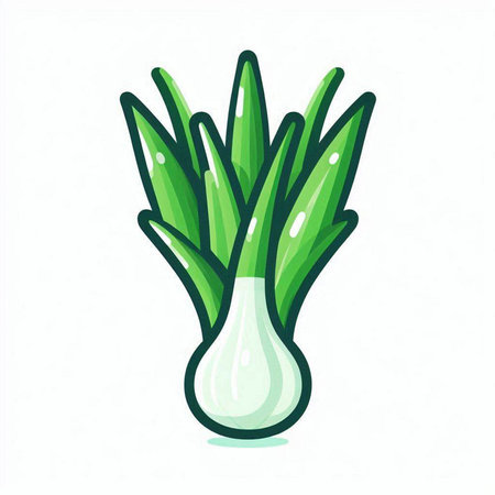 Vegetable vector illustration. Isolated green onion on white background.のイラスト素材