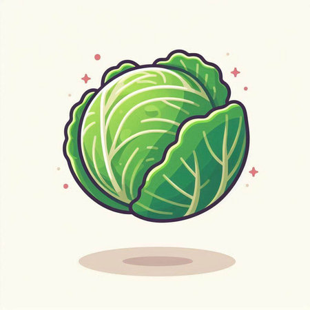 Cabbage vector illustration. Cabbage icon. Cabbage icon. Cabbage icon. Cabbage iconのイラスト素材
