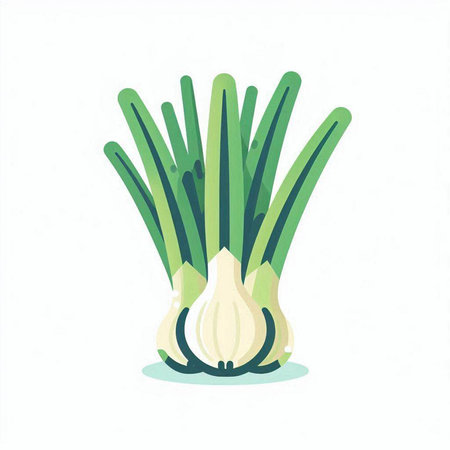 Garlic. Flat vector illustration. Isolated on white background.のイラスト素材