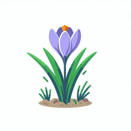 Crocuses in a flower bed. Spring. Vector illustration.のイラスト素材