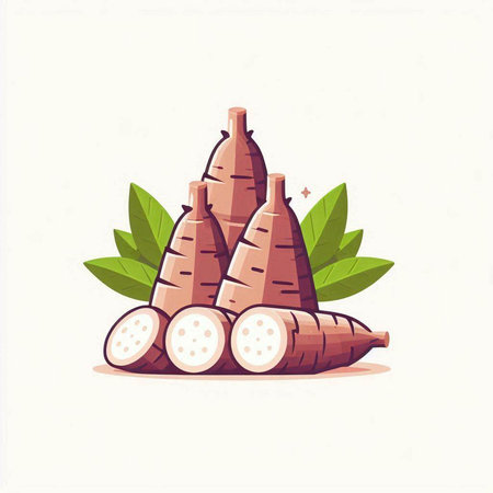 Illustration of yam on white background. Vector illustration of yam.のイラスト素材