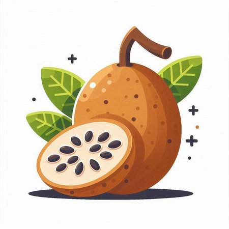 Whole and half kiwi fruit with leaves. Vector illustration.のイラスト素材
