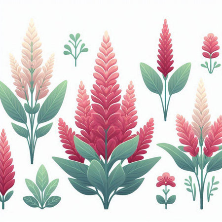 Celosia argentea flowers and leaves vector illustration.のイラスト素材