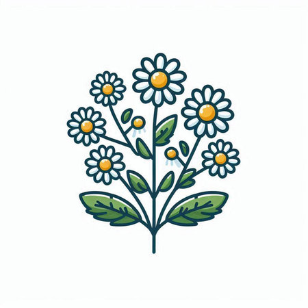 Hand drawn chamomile flowers. Vector illustration on white background.のイラスト素材