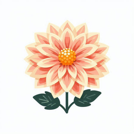 Beautiful dahlia flower on white background. Vector illustration.のイラスト素材