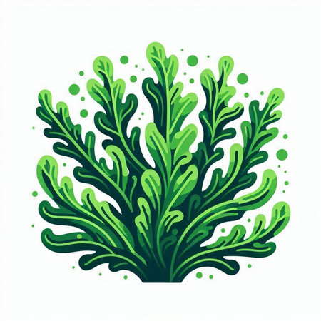 Illustration of a green seaweed isolated on a white background.のイラスト素材