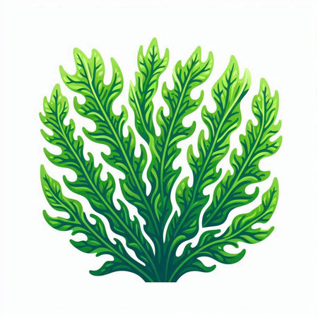 Illustration of a green seaweed isolated on a white background.のイラスト素材