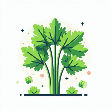 Coriander, parsley. Vector illustration in flat style.のイラスト素材