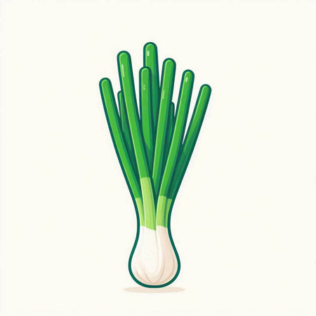 Illustration of fresh spring onion on white background. Vector illustration.のイラスト素材