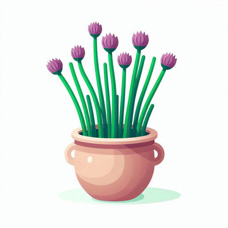 Flowerpot with purple chives isolated on white background. Vector illustration.のイラスト素材
