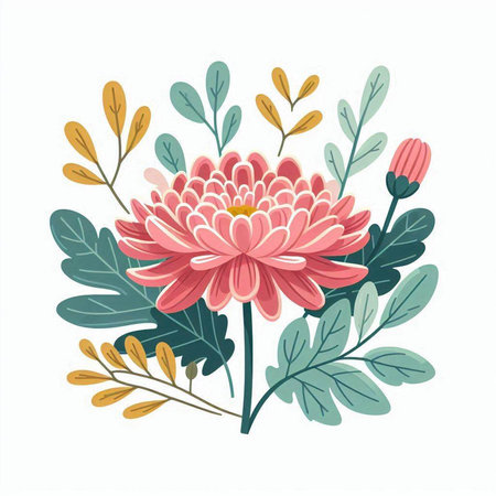 Beautiful pink chrysanthemum flower and green leaves. Vector illustration.のイラスト素材
