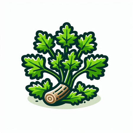 Parsley vector icon. Isolated parsley on white background.のイラスト素材