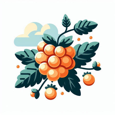 Rowan branch with berries on a white background. Vector illustration.のイラスト素材
