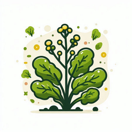 Illustration of green sprout with leaves on a white background.のイラスト素材
