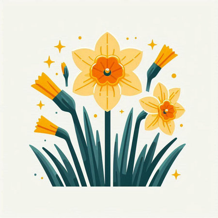 Flower daffodil, narcissus. Vector illustration.のイラスト素材