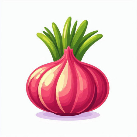 Illustration of a fresh red onion on a white background, vector illustrationのイラスト素材