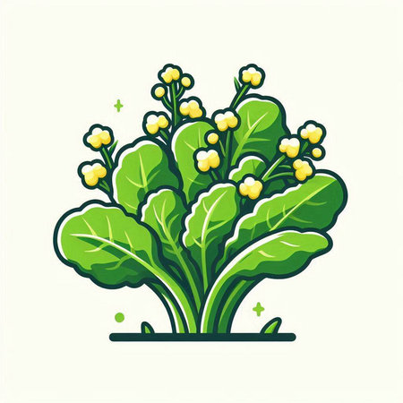 Illustration of green salad with yellow flowers. Vector design element.のイラスト素材