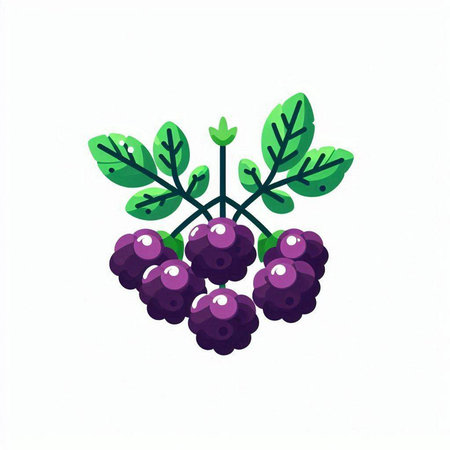 Bunch of black grapes isolated on white background. Vector illustration.のイラスト素材
