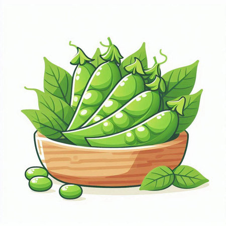 Fresh green peas in a wooden bowl on a white background. Vector illustration.のイラスト素材