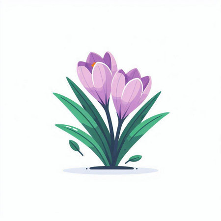 Purple crocus flowers isolated on white background. Vector illustration.のイラスト素材