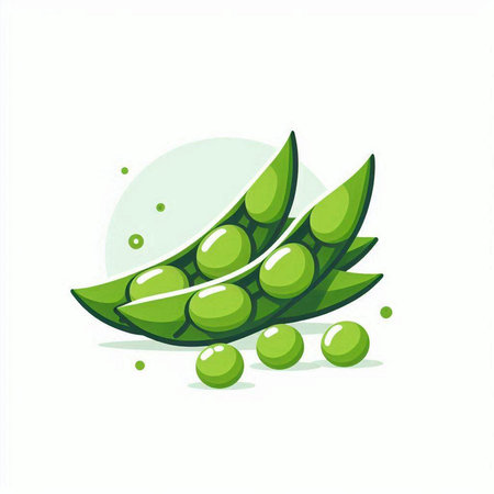 Peas icon isolated on white background. Green peas vector illustration.のイラスト素材