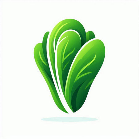 Lettuce icon. Vector illustration of fresh green lettuce leaf.のイラスト素材