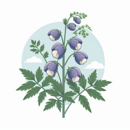 Flowering bellflower on a white background. Vector illustration.のイラスト素材