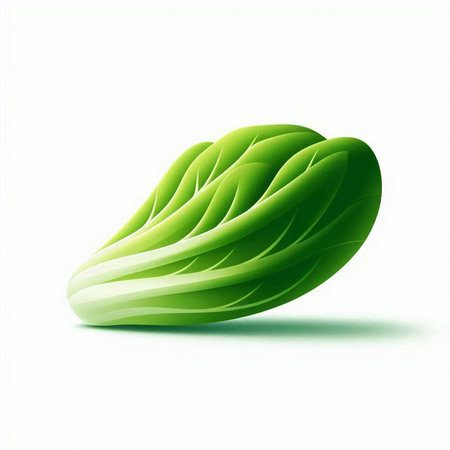 Green chinese cabbage isolated on a white background. Vector illustration.のイラスト素材