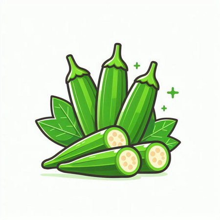 Fresh okra. Vector illustration. Isolated on white background.のイラスト素材