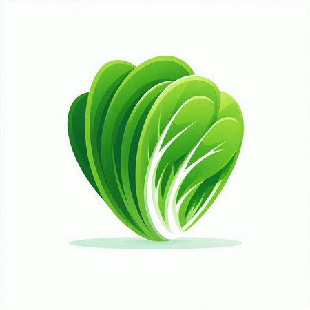Lettuce icon isolated on a white background. Vector illustration.のイラスト素材