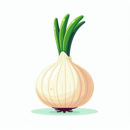 Garlic isolated on white background. Vector illustration in cartoon style.のイラスト素材