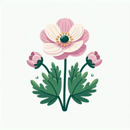 Illustration of anemone flowers on a white background - vectorのイラスト素材