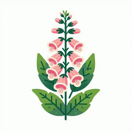Digitalis purpurea, foxglove, foxglove, foxglove, foxglove, foxglove, foxglove, foxglove, foxgloveのイラスト素材
