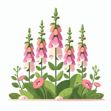 Flowering foxglove in the garden. Vector illustration.のイラスト素材
